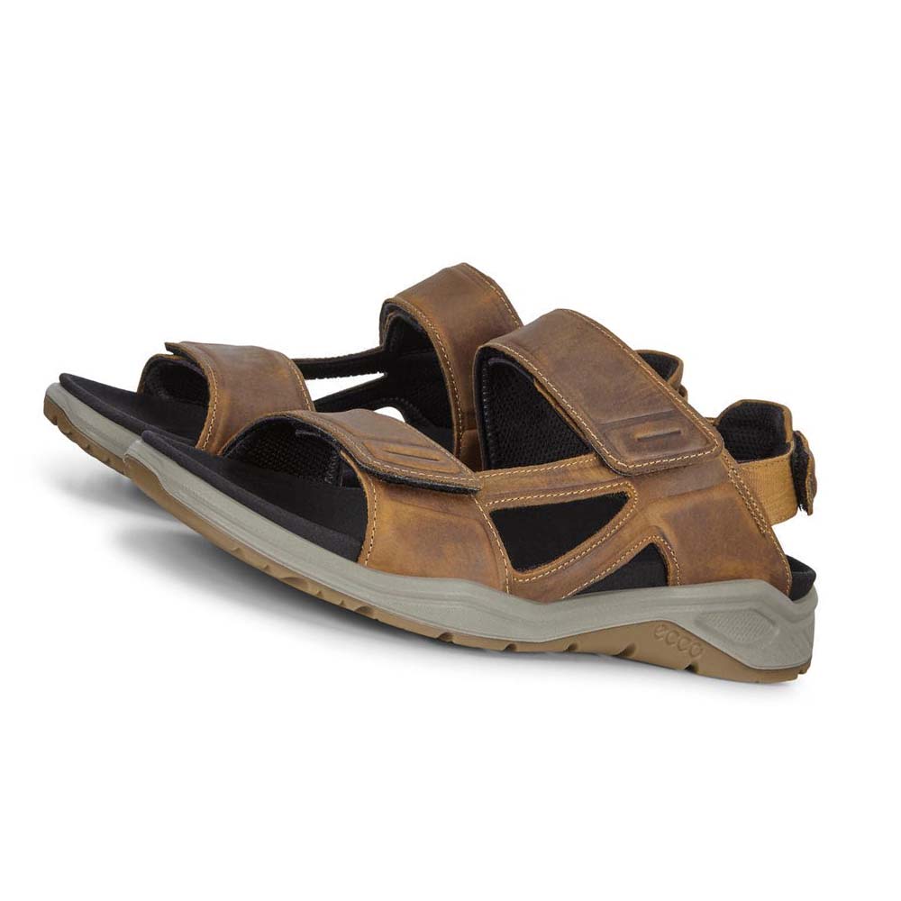 Men's Ecco X-trinsic Flat Sandals Brown | USA 592LIS